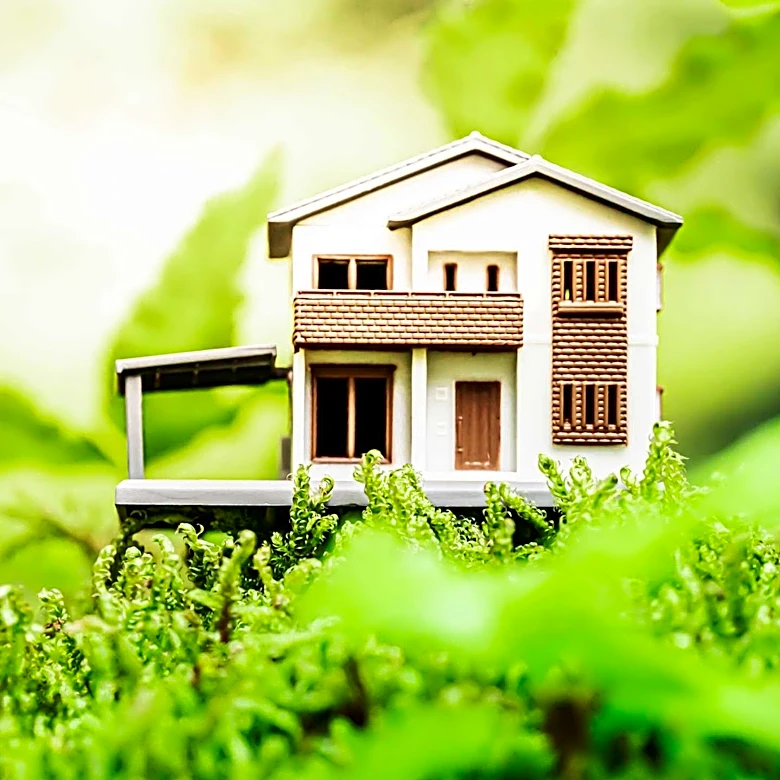 Tiny Homes Evolve from Off-Grid Shacks to Social Media Sensations