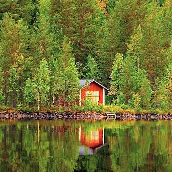 Author Patrick Hutchison Finds Solace in a Cabin Amid Quarter-Life Crisis