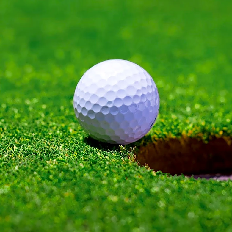 Jackson Koivun Wins First PGA Tour Title at 3M Open