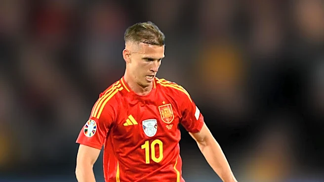 Dani Olmo Rejects Apology from Argentina Assistant Over World Cup Final Altercation