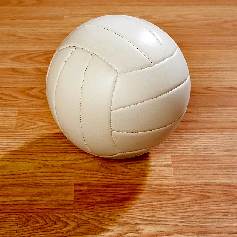 MaryAnn O'Toole Appointed as Director of Volleyball Operations for Tennessee Lady Vols