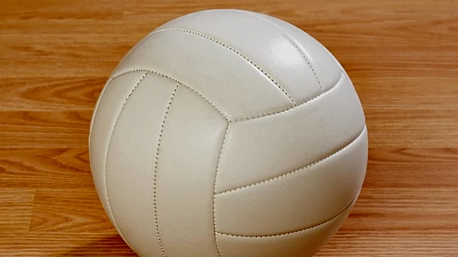 MaryAnn O'Toole Appointed as Director of Volleyball Operations for Tennessee Lady Vols