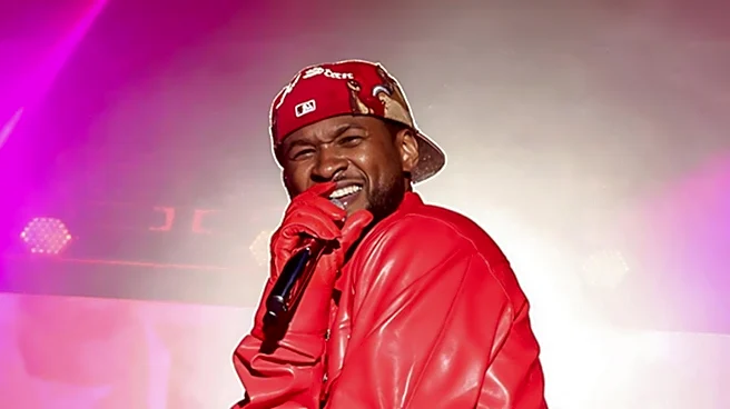 Usher's Nashville Concert Incident Sparks Online Debate