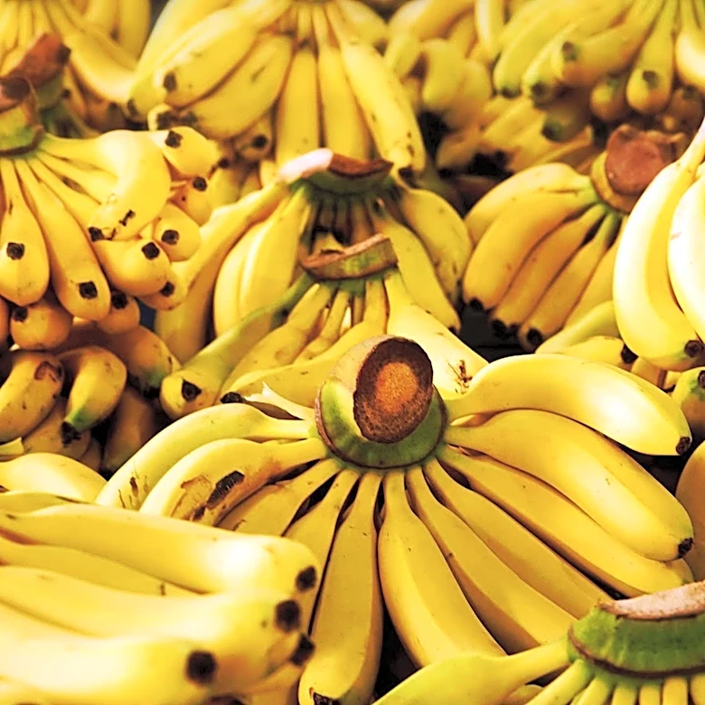 Cancer Survivor Receives VIP Experience with Savannah Bananas at Wrigley