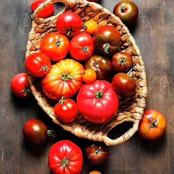 Charlottesville's Tomato Tomato Fest Celebrates Local Agriculture and Art