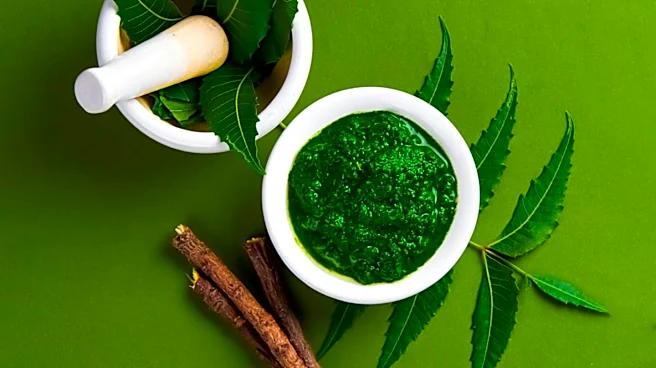 Ayurveda's Role in Enhancing Skin Health Through Natural Remedies