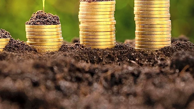 B3 Adjusts BDR Parity to Lower Entry Costs for Investors