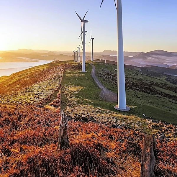Big Tech's $725 Billion AI Investment Threatened by Rising Energy Costs
