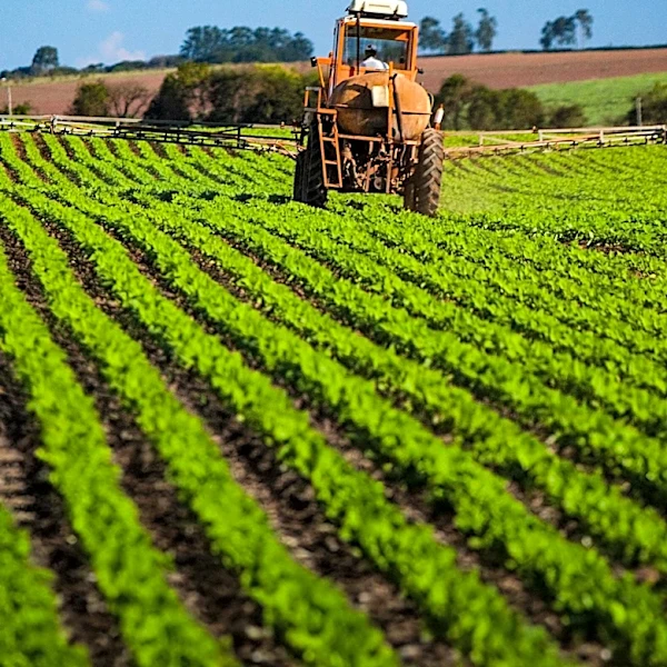 BASF Begins Global Registration for New Herbicide Replexor Active to Combat Resistant Weeds