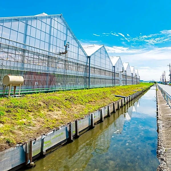 U.S. Commercial Sector Drives Growth in Water Harvesting Market Amid Rising Water Scarcity
