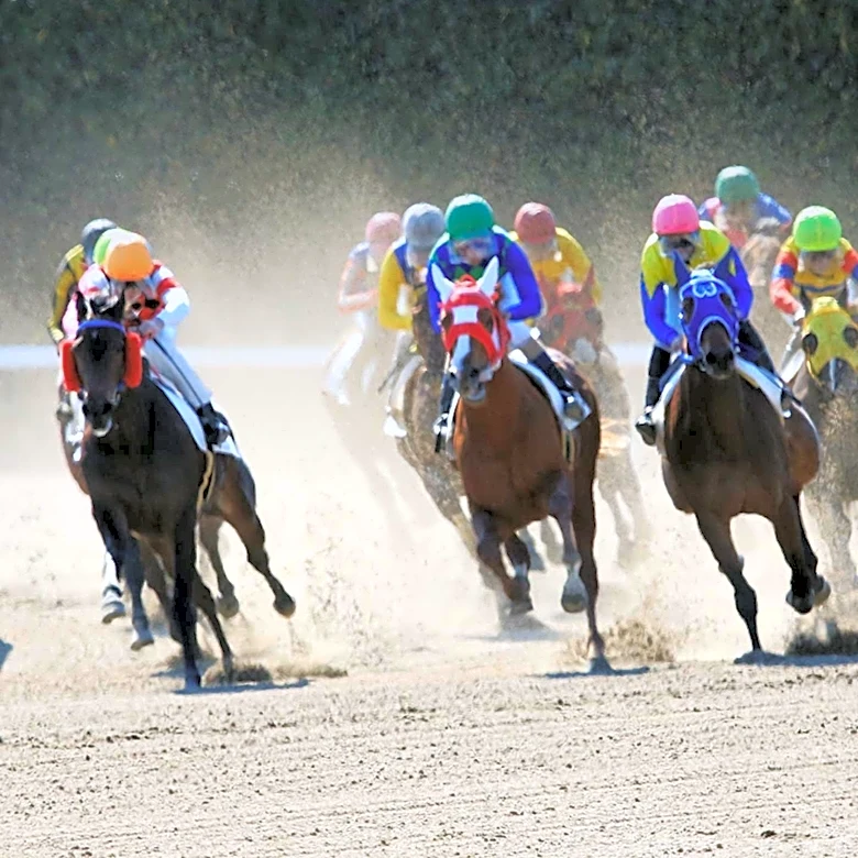 Plainridge Park Sees Record Performances in Top Racing Classes