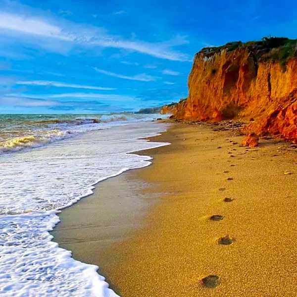 Streamer HMBLZAYY Completes 3,000-Mile Walk to California, Inspiring Many