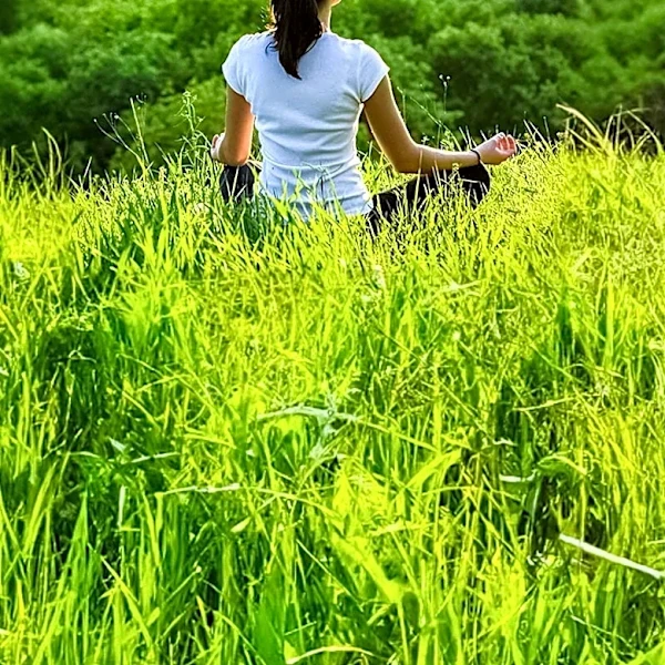 Eco-Therapy Offers Alternative to Traditional Indoor Counseling for Stress Relief
