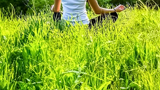 Eco-Therapy Offers Alternative to Traditional Indoor Counseling for Stress Relief