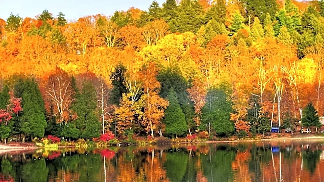 Adirondacks Named Top U.S. Fall Foliage Destination for 2026