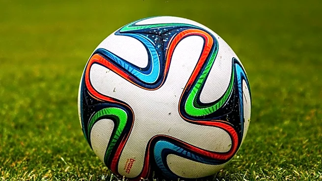 FIFA Faces Backlash Over Plan to Sell World Cup Stakes to Private Investors