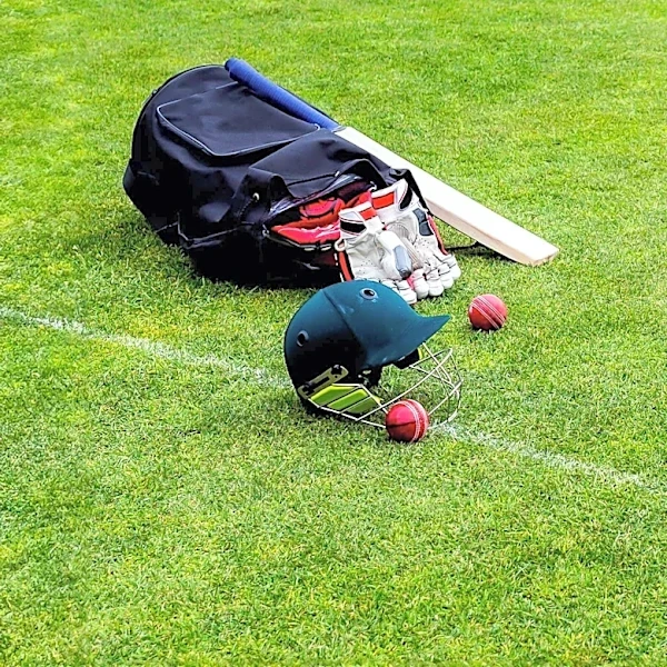 Subhadeep Ghosh Appointed as Team India's New Fielding Coach