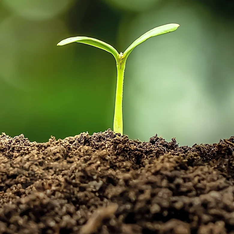 Humana Projects 25% Growth in Medicare Advantage Membership