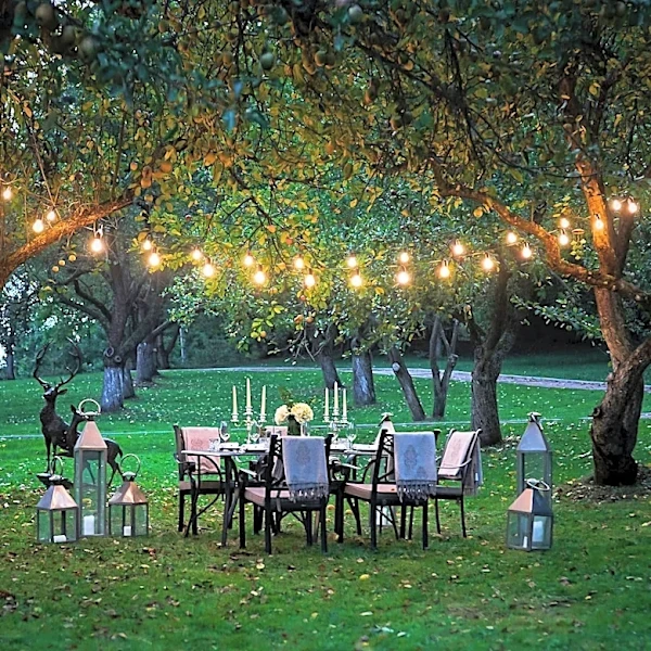 Miss Manners Addresses Etiquette Dilemma at Outdoor Dinner Party