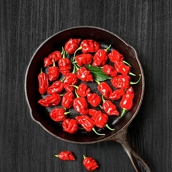 Ferrara Candy Co. Introduces Trolli Spicy Crawlers with Habanero Heat