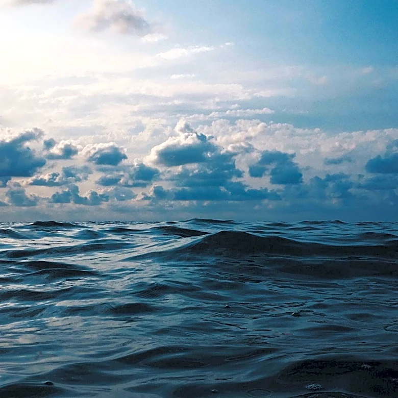 Independent Film 'Open Water' Achieves Success with Realism and Low Budget