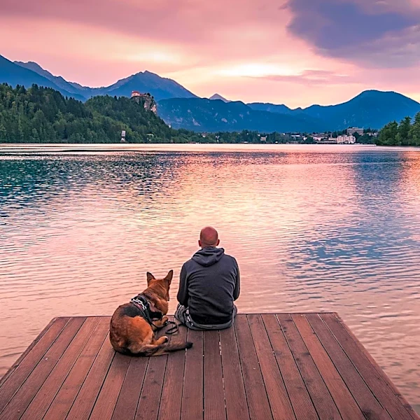 Wellness Retreats Offer Pet-Friendly Options for Travelers