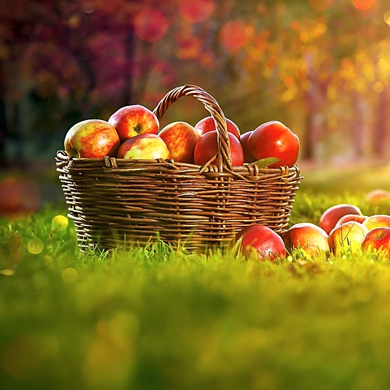 August Gardening Tips: Preparing for a Bountiful Fall Harvest