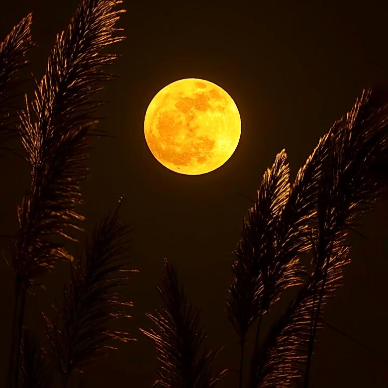 July's 'Buck Moon' Peaks Under Smoky Skies in Chicago