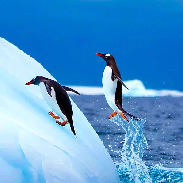 Penguin Solutions Sees Significant Growth Amid AI and Memory Demand Surge
