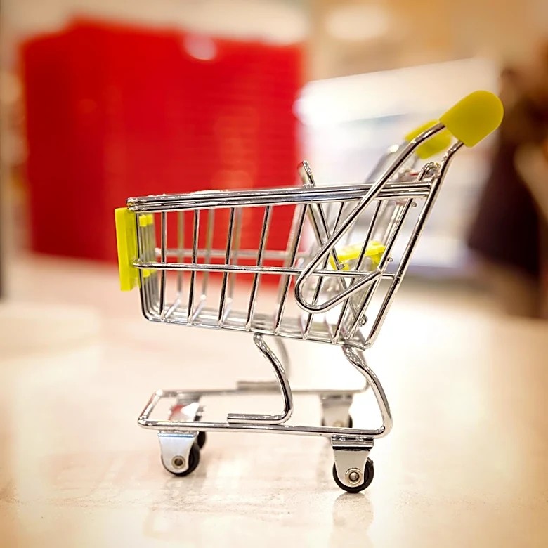 Wegmans Introduces New Small Shopping Carts in Rochester Stores