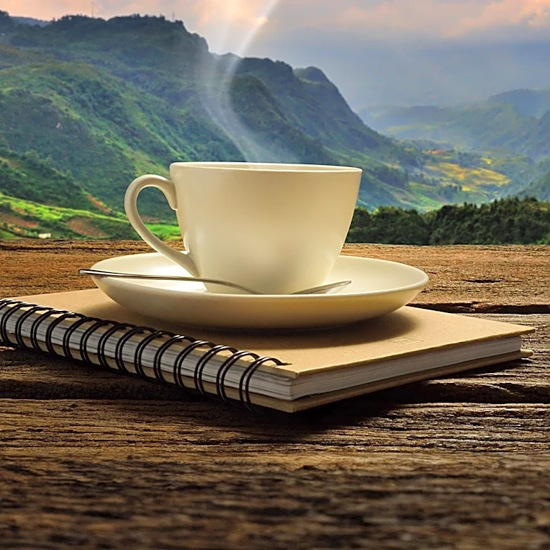 Coffee vs. Tea: Evaluating Morning Energy Boosts