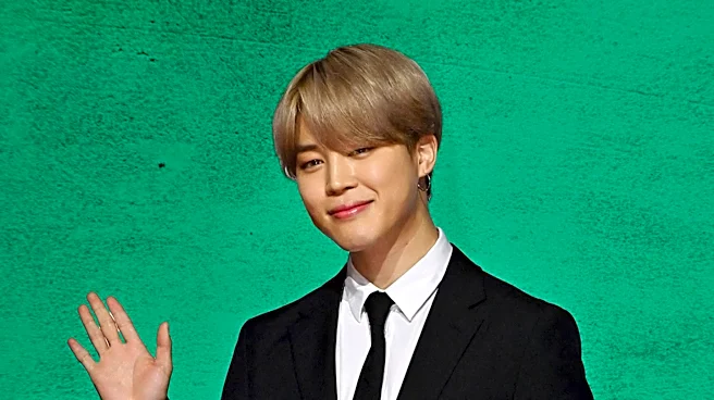 BTS Declines Grammy Submission Over New Asian Pop Category