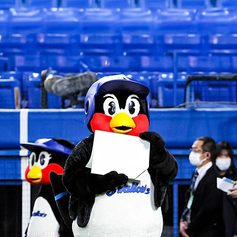 NFL Mascots' Salaries and Roles: A Closer Look at Their Impact