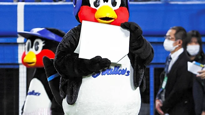 NFL Mascots' Salaries and Roles: A Closer Look at Their Impact