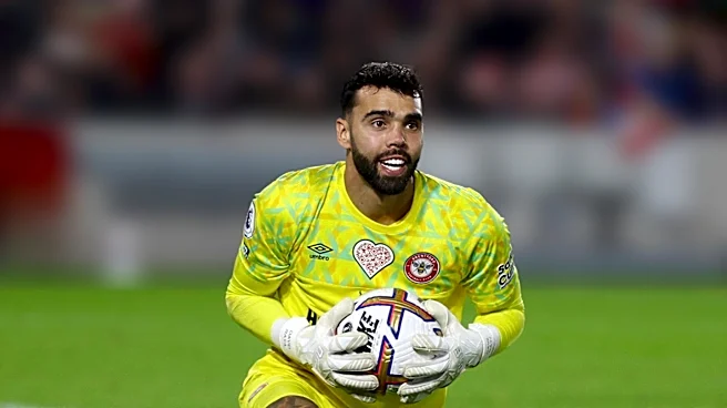 Arsenal's David Raya Equals Club Record with 19 Clean Sheets in Premier League Triumph