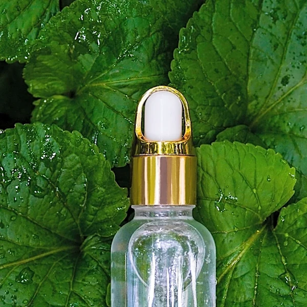 Sephora Expands Product Offerings with Popular Gisou Honey Dewy Mist