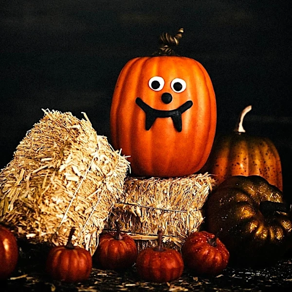 Cracker Barrel Unveils New Halloween Decor, Sparking Shopper Interest