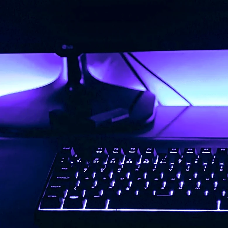 Fortinet Increases Revenue Forecast Amid Rising Cybersecurity Demand