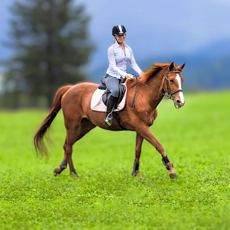 Renowned Horseman Jerry 'Buck' Sprinkle Passes Away at 77