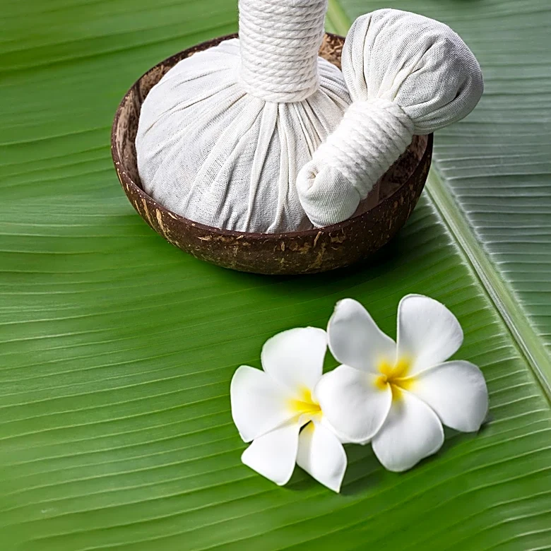 Tok Sen: Traditional Thai Massage Gains Global Recognition