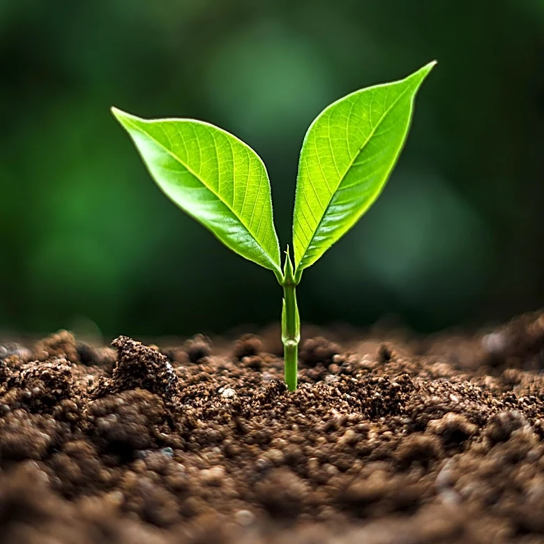 Wild Bio Acquires F1 Seed, ADM Capital Raises $48 Million for AgriFood Innovations