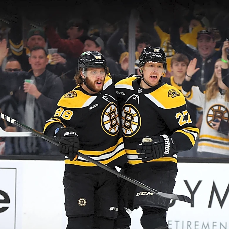 Boston Bruins Face Surplus of Defensemen as Training Camp Approaches