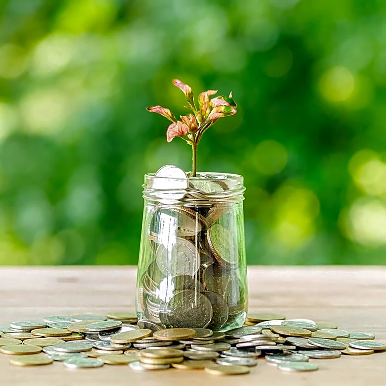 T. Rowe Price Reduces Stake in PNJ Amid Stock Issuance