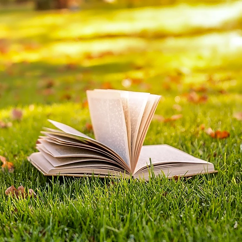 Tayari Jones' Novel 'Kin' Gains Recognition as Oprah's Book Club Pick