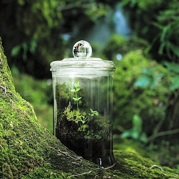 The Psychological and Environmental Impact of Reusing Glass Jars