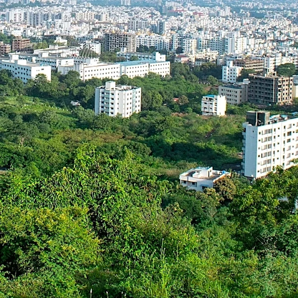 Challenges of Returning to Urban Life After Rural Living