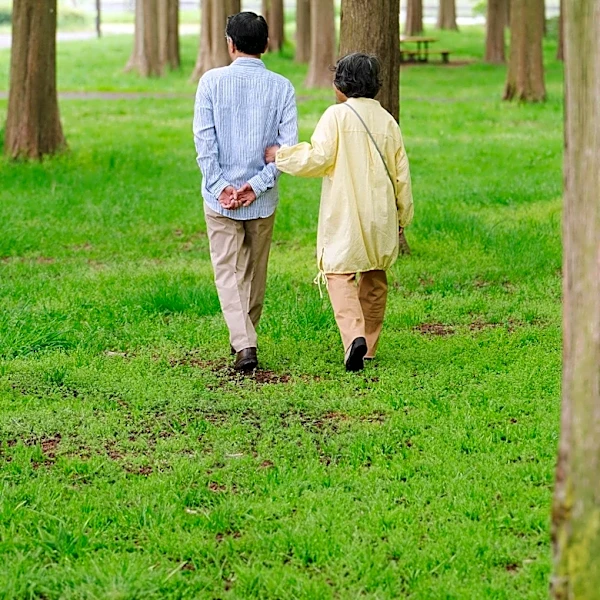 Forest Bathing Programs Highlight Mental Health Benefits in Urban Japan