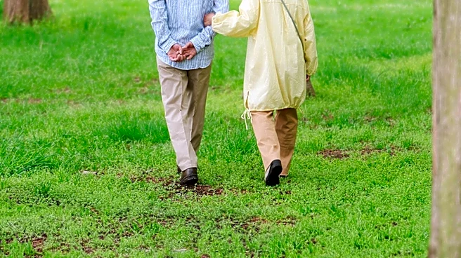Forest Bathing Programs Highlight Mental Health Benefits in Urban Japan