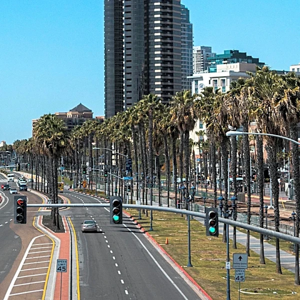 San Diego's Culinary Scene Shines with Local Seafood and Cultural Cuisine