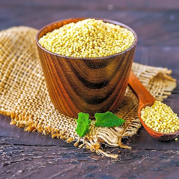 Biofortified Millet Shows Promise for Improving Children's Gut Health